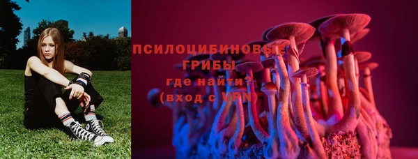 герыч Алзамай