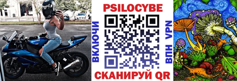 Галлюциногенные грибы MAGIC MUSHROOMS  площадка какой сайт  Новая Ладога 